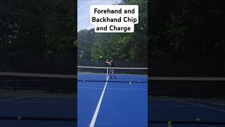 Forehand and Backhand Chip and Charge @PeterFreemantennis