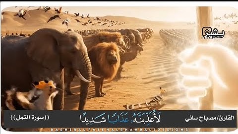 Quran Suratuul Al namlli قرآن كريم سورة النمل 🐜 🐜 🐜