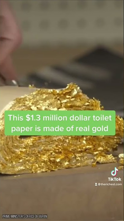 Worlds Richest Bathroom (Gucci Toilet Paper & Versace Soap) 
