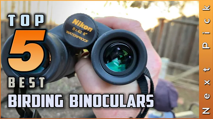 Top 5 Best Birding Binoculars Review in 2023