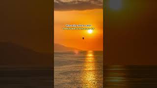 The BEST AFFORDABLE all-inclusive resorts to visit in 2025! #allinclusive #cancun #puntacana