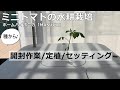 【ミニトマト水耕栽培】ホームハイポニカ「MASUCO」vol.1/種から育てる/開封作業/設置/セッティング/定植/水耕栽培キット