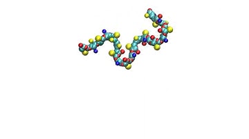 Coarse-grained simulation of Hyaluronic Acid