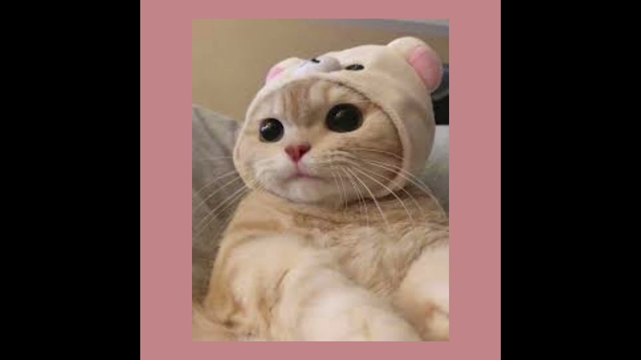 i know the reason for her sadness - malice mizer (sped up)