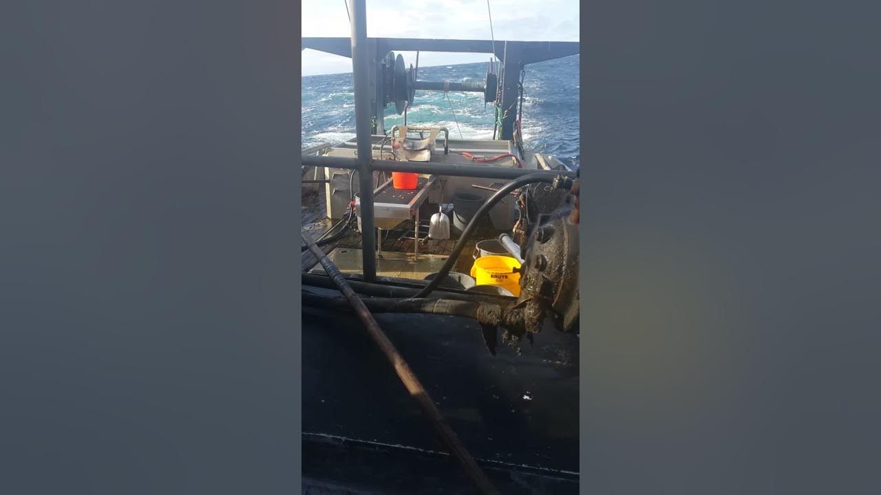 West coast shrimping. Fishing. Commercial fishing YouTube