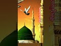 Pyare Nabi ki 3 Sabse Badi#facts #hadees #nabipakﷺ #youtubeshorts #shortsfeed #shorts