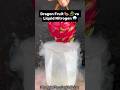 Dragon Fruit 🍉 🐉 vs Liquid Nitrogen 🌧️ #Satisfying #Experiment #Science #ASMR #LiquidNitrogen