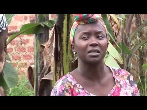 Kansiime Anne follows Job's example - African comedy.