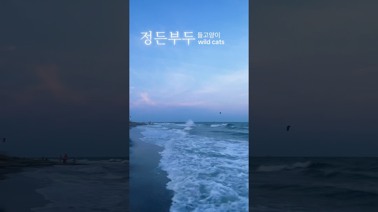 잊지 못할 백리치해변의 붉은 노을 힐링 🌊 #shorts