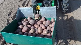 Посадка картошки сажалкой с новыми ложечками.