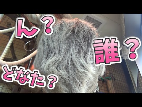 この方はどなた？！？！　Who is she/he?!?!【ダイクリちゃんねる】ASMR　咀嚼音　Eating Sounds