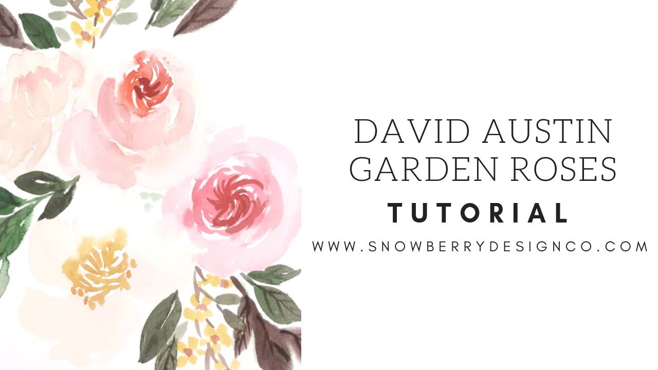 How to paint Garden Roses | BEGINNER WATERCOLOR TUTORIAL - YouTube