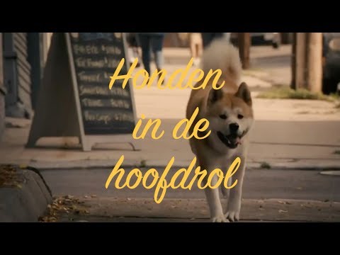 Video: Top 5 Films Om Met Je Hond Te Kijken