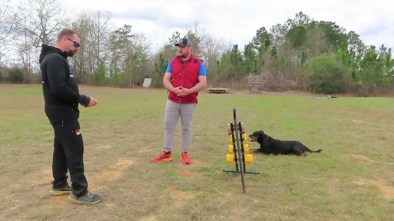 2026-Feb - uploaded   MVI 2536