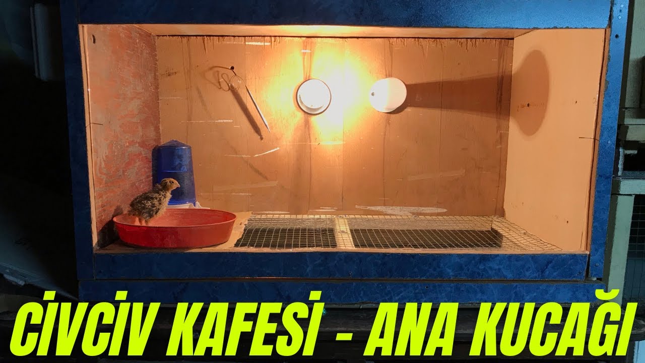 CİVCİV BÜYÜTME KAFESİ  (ANA KUCAĞI) YAPIMI