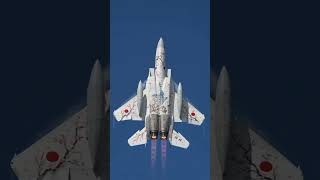 This F-15 Paint Job Will Blow Your Mind #shorts #fighter #jets