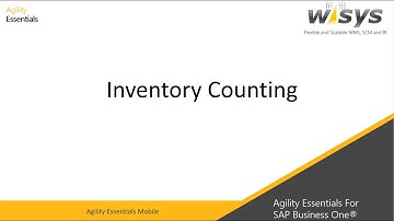 WiSys Agility Inventory Counting for SAP Business One