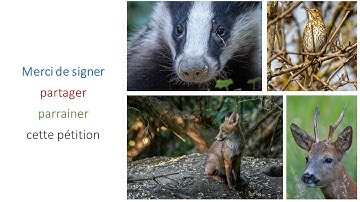 Convaincre les parlementaires de soutenir le Référendum pour les animaux