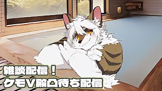 【雑談】雑談・のんびり凸位待ち配信 #9