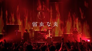 MAGIC OF LiFE- 弱虫な炎（LIVE at TSUTAYA O-EAST 2017.07.16） chords
