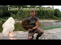 NEW RECORD SET!! - GIANT 3D FOSSILS, ARROWHEAD!! UV FOSSILS