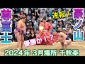 速報❗️尊富士vs豪ノ山【大阪場所】千秋楽【大相撲令和6年3月場所】2024/3/24 現地観戦