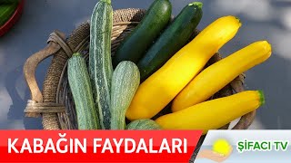 Kabağın Faydaları Nelerdir? Kabağın Bilinmeyen Mükemmel Faydaları