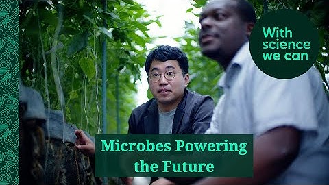 Fermenting Earth: Japan’s Biochar and Microbial Wisdom | TOWING Co., Ltd.