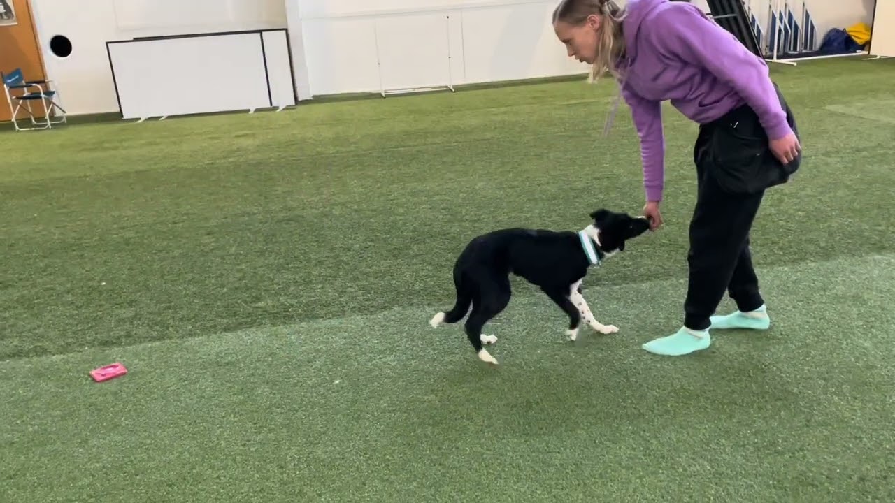 Trendin pennut 6 kuukautta