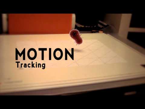 Motion Tracking.