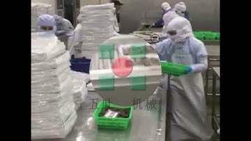 Shrimp washing grading machine automatic shrimp sorting machine shrimp grader