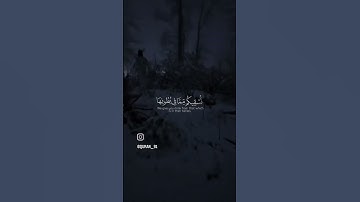 سوره المؤمنون #الشيخ #ياسر #ياسر_الدوسري #اجمل #قرائه