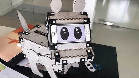 BYOR Interactive robot-dog eyes
