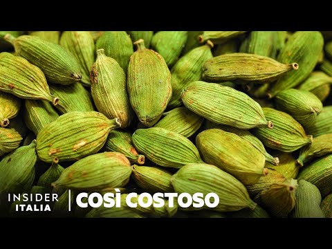 Video: Suggerimenti sulla coltivazione del cardamomo - Scopri le piante di spezie di cardamomo