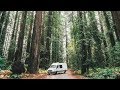 GIANT REDWOODS &amp; THE PACIFIC COAST HIGHWAY | VAN LIFE VLOG 2