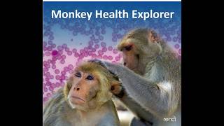 Monkey Health Explorer across NC and Puerto Rico: Engaging students in health-related research