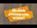 Descubre las texturas en la exposición Endemismo
