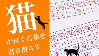 【大体25分】Study with me. 軽快なワルツと「猫」がつく単語30個