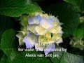 Meditation for violin and orchestra by alexis van sint jan