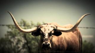 This Is How We Texas - Dan Johnson And The Salt Cedar Rebels Official Music Video