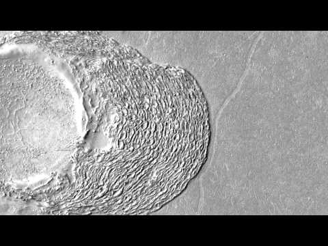Mars: Lava Against