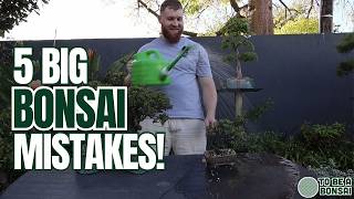 5 Beginner Bonsai Mistakes and How to Avoid Them