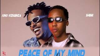 Shemi - Peace of Mind Remix ft Juno Kizigenza