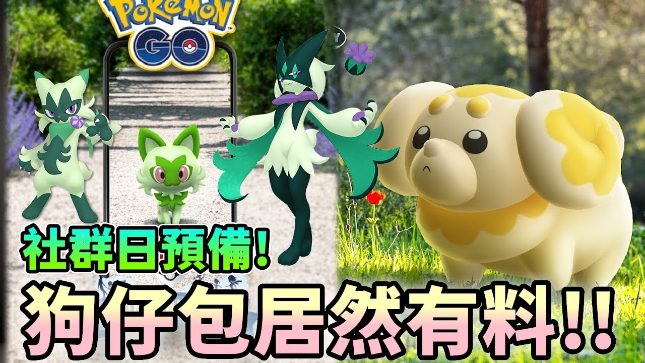 全球大挑戰開始!想不到狗仔包居然有料🤣🤣&新葉喵社群日預備備~【精靈寶可夢GO】 - YouTube