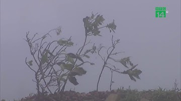 Miền Bắc rét kéo dài, miền Trung tiếp tục mưa lớn | VTC14