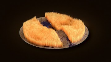 Absolutely No Brakes