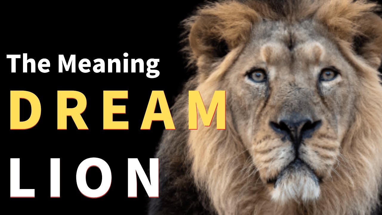 Dream About Lions: Unveiling Your Desires and Dream Interpretations - Dream Analysis
