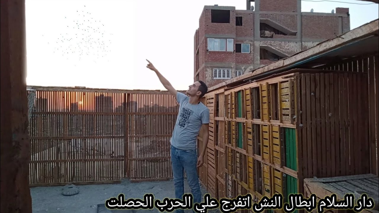 اتفرج علي اقوي نش من رجالة دار السلام تجهيز لنش التماسي #يوسف_صبحي