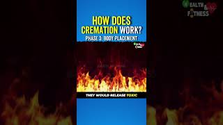 How Does Cremation Work? Body Placement In The Coffin