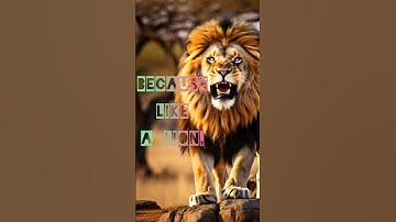Unleash Your Inner Lion: The Power of Fearless Motivation Lion  #motivation #inspiration #lion